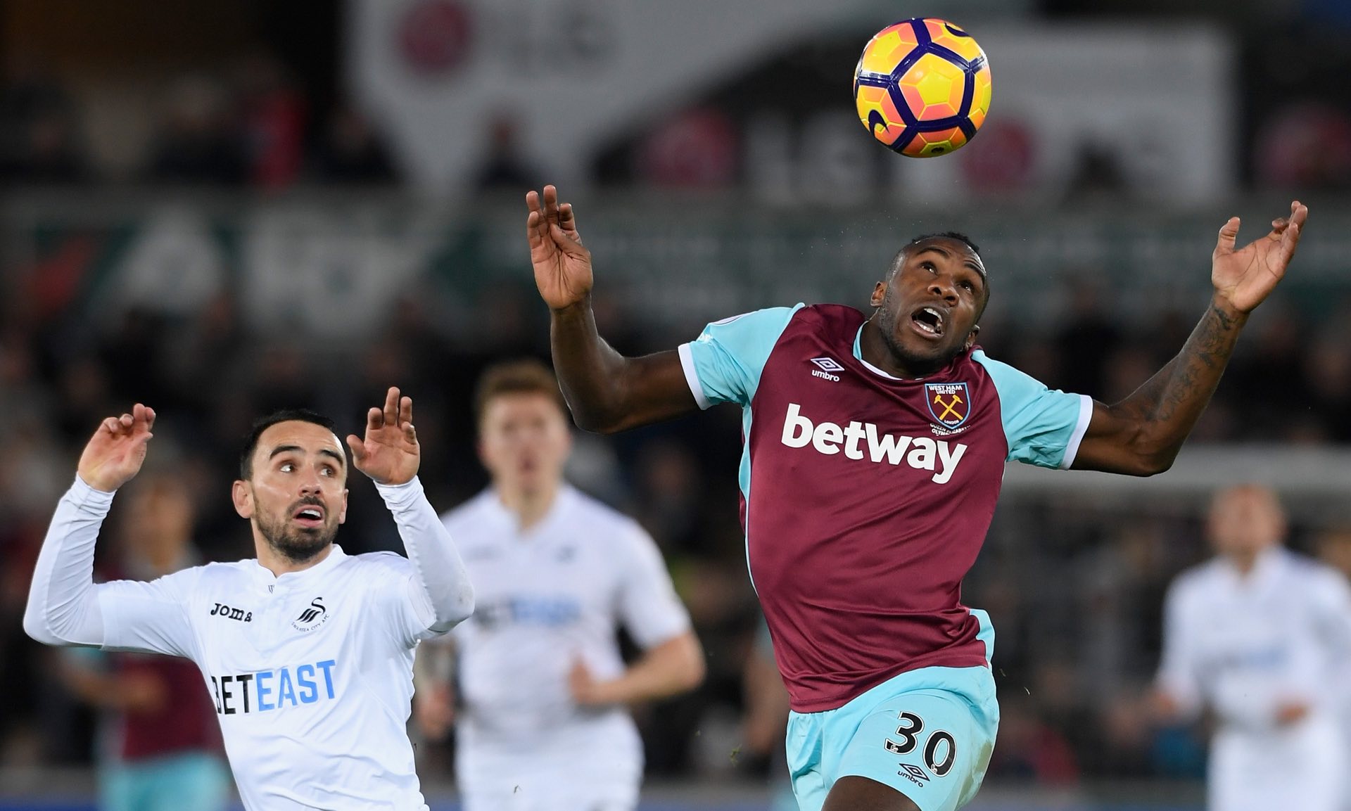 主教练罗泽 主教练罗泽